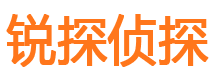 汝阳市侦探公司